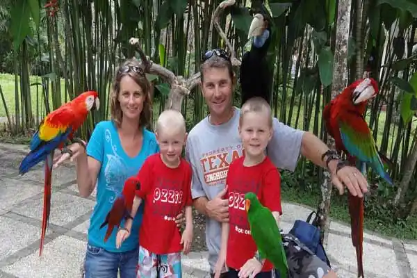 bali bird park and ubud tour